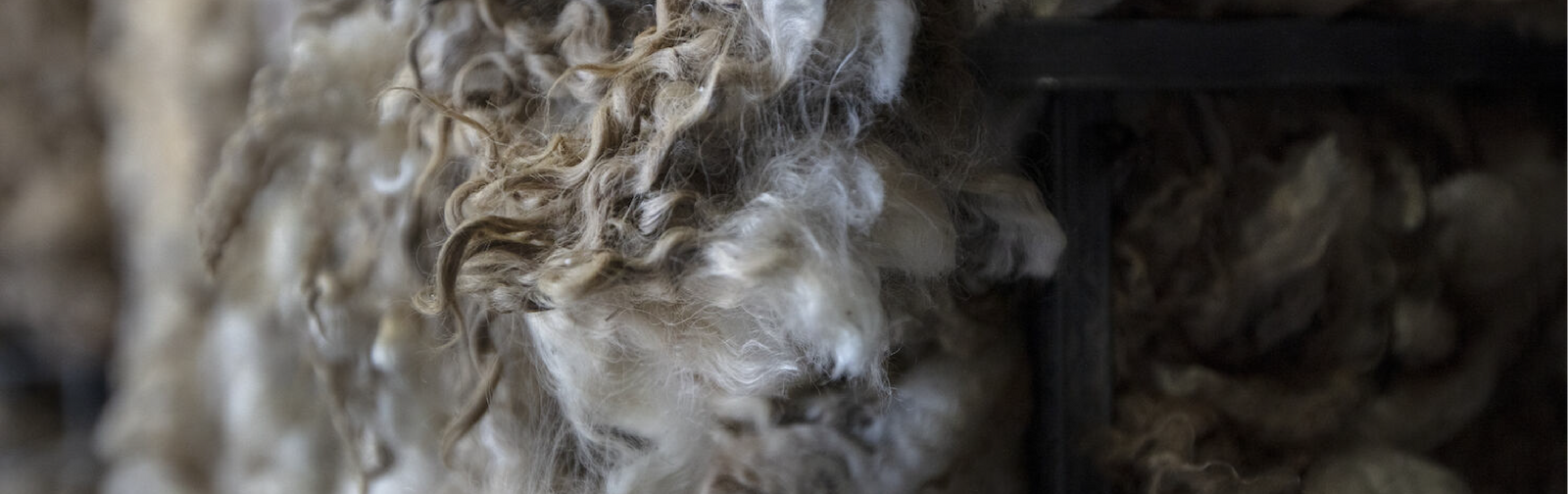 El ciclo de vida de un producto